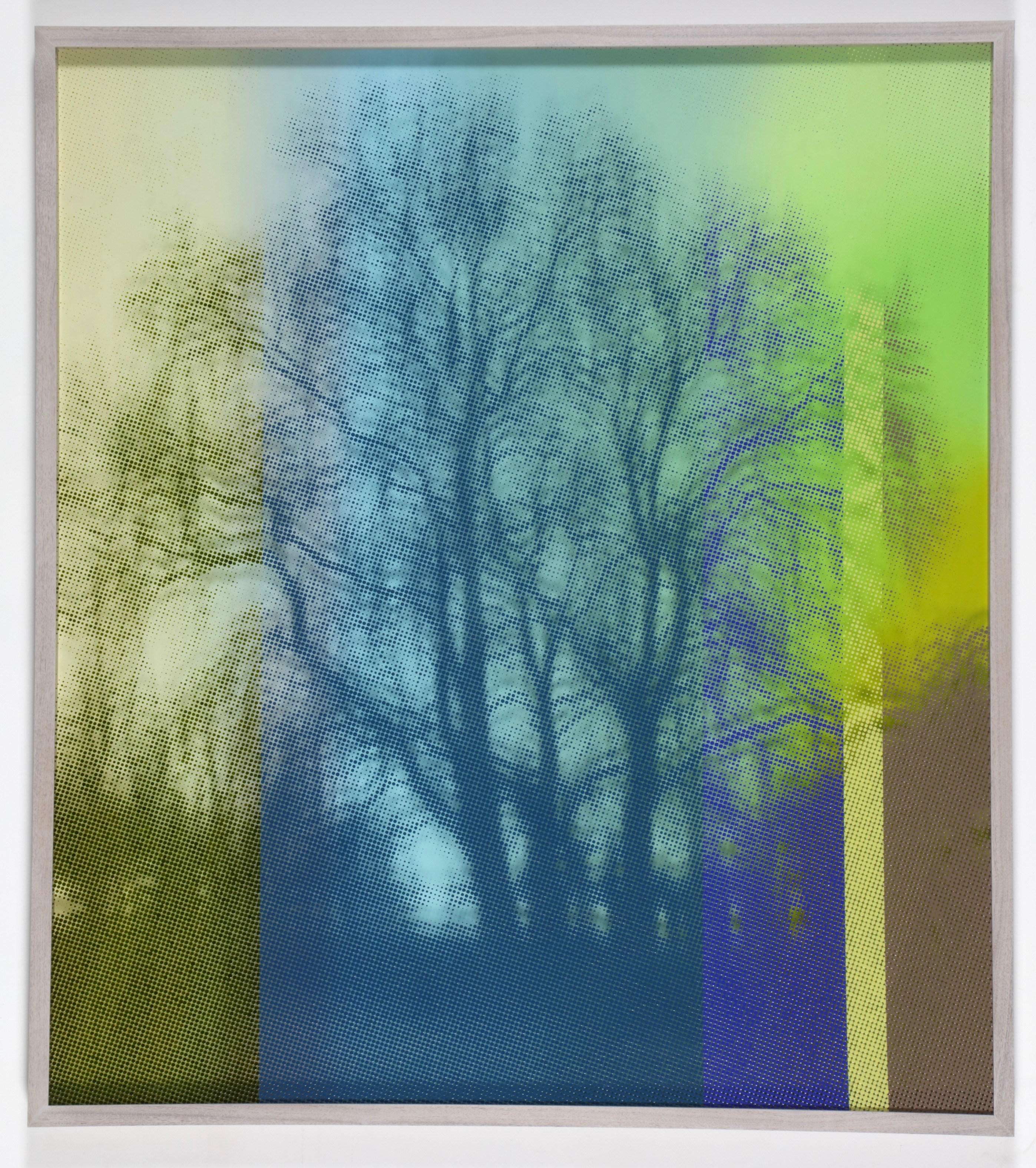 Portrait of a Tree in Blues and Green